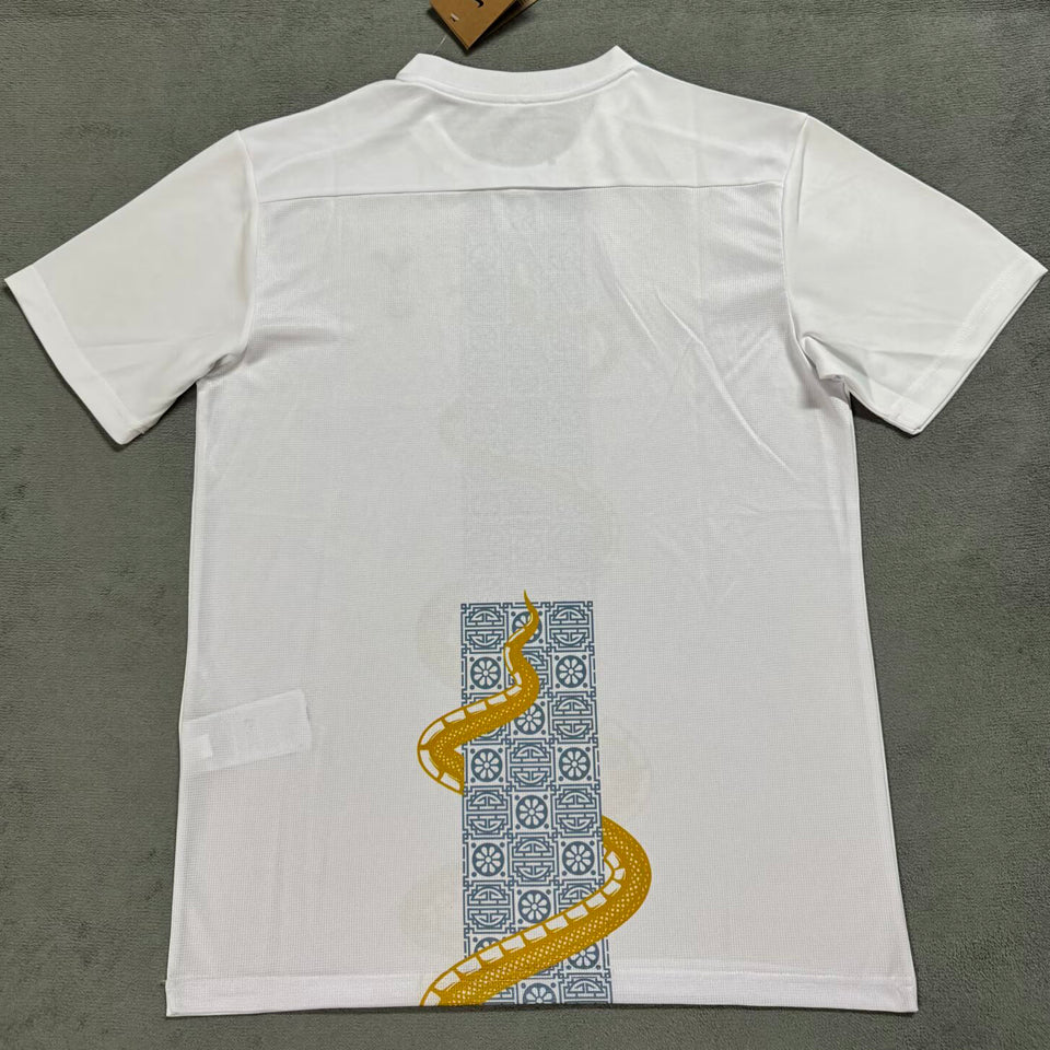 jersey 2025/26 tottenham especial manga corta versión fan