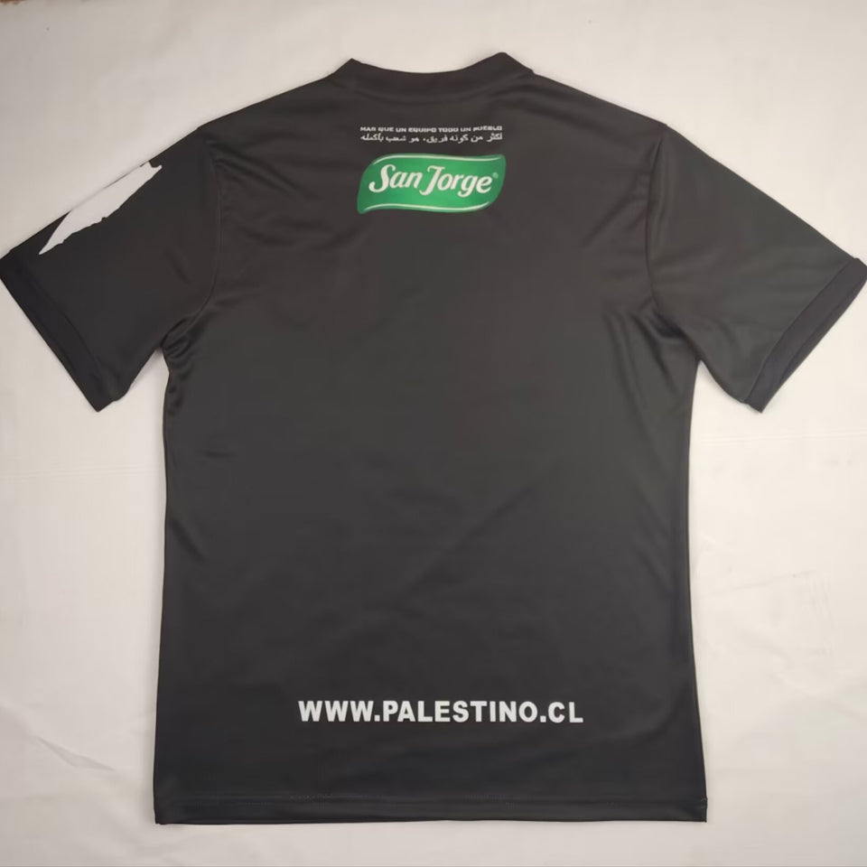 jersey 2024/25 palestino especial manga corta versión fan