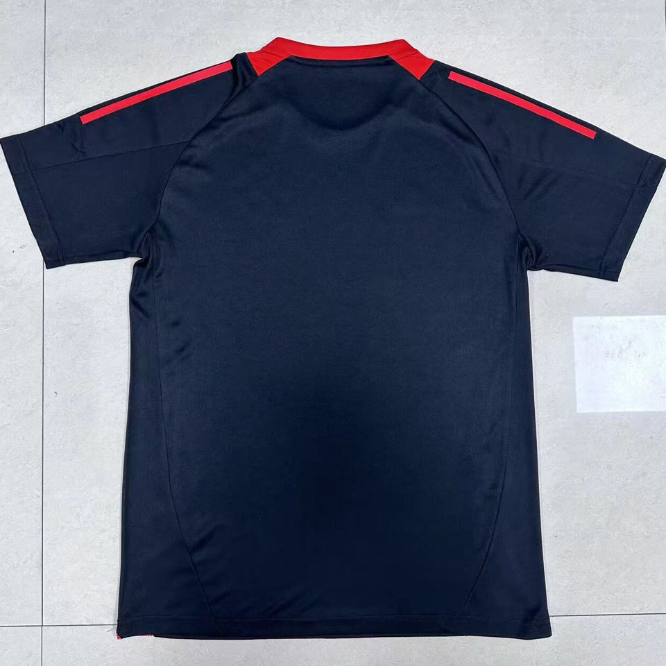 jersey 2025 internacional especial manga corta versión fan