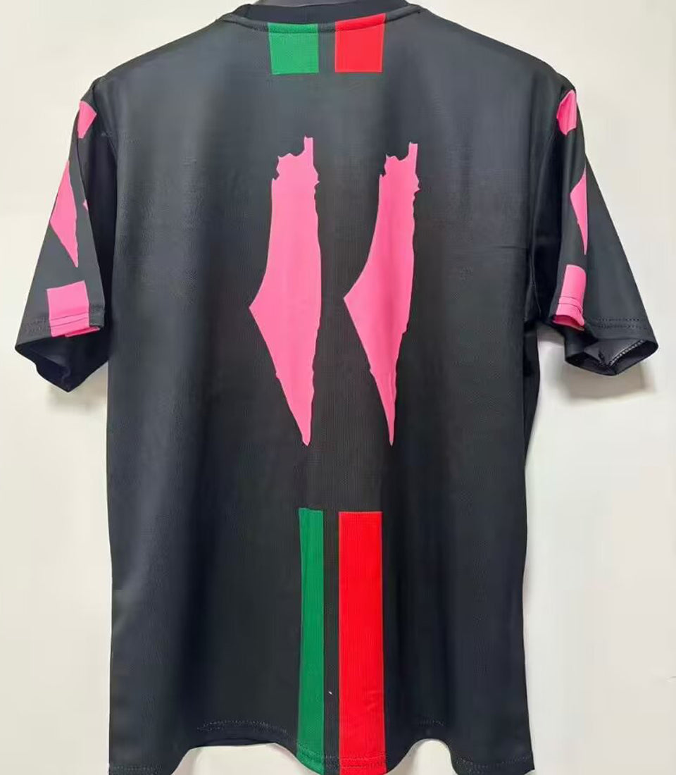 2026 fc palestine especial versión fan selecciones