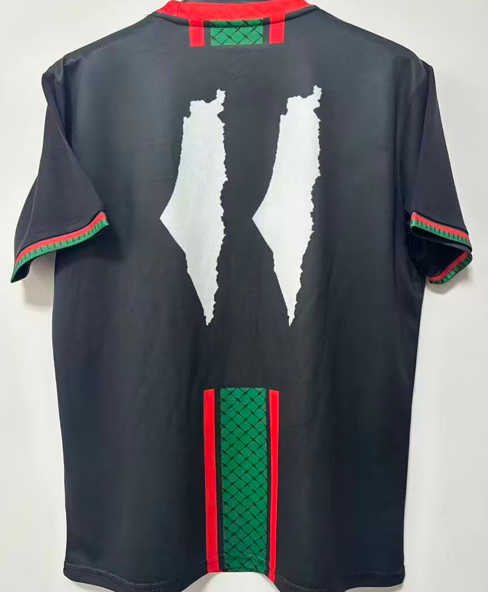 2026 fc palestine especial versión fan selecciones