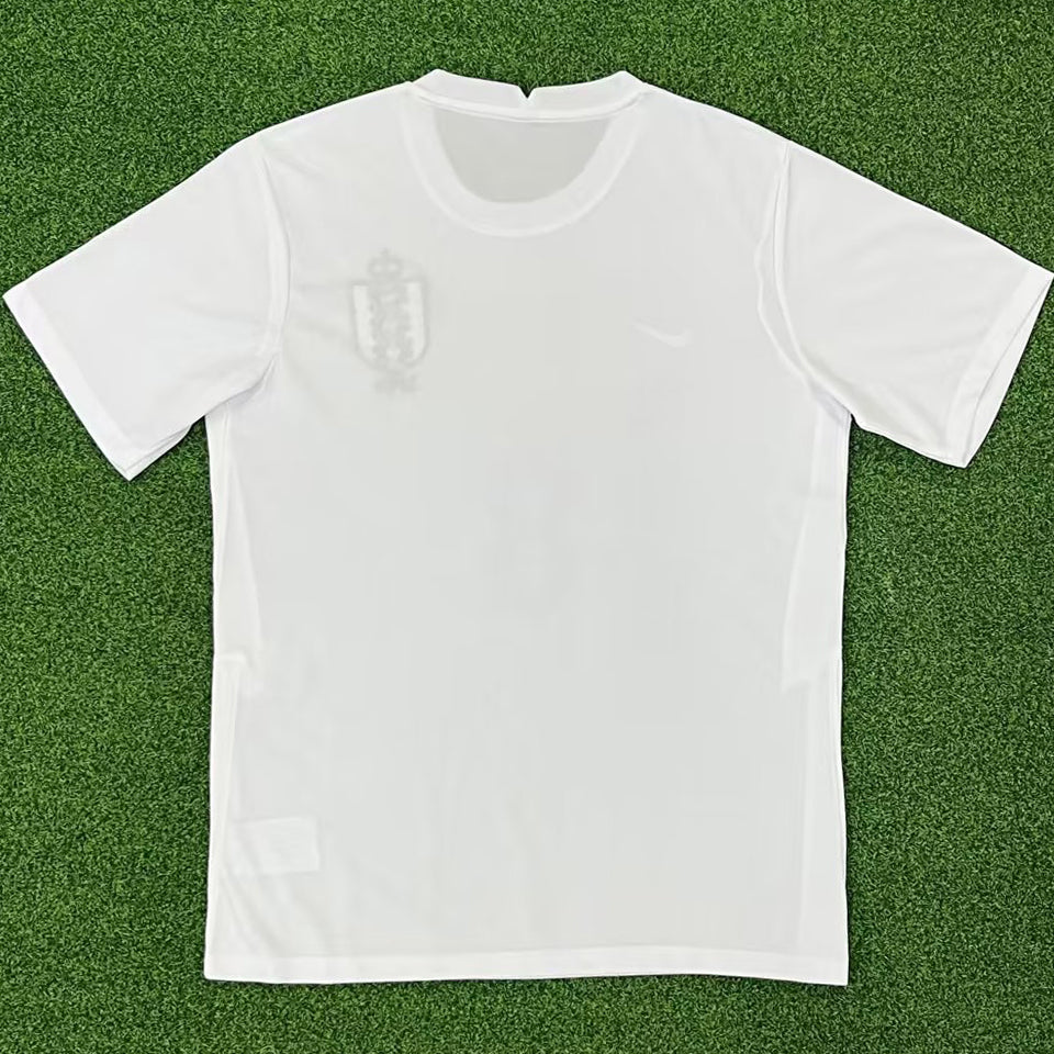 2023 inglaterra especial versión fan selecciones