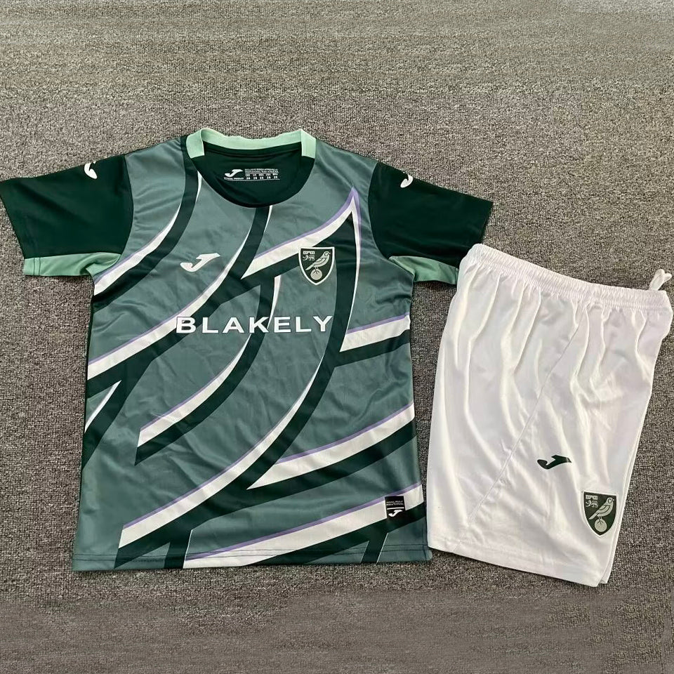 jersey 2025/26 norwich visitante manga corta niño