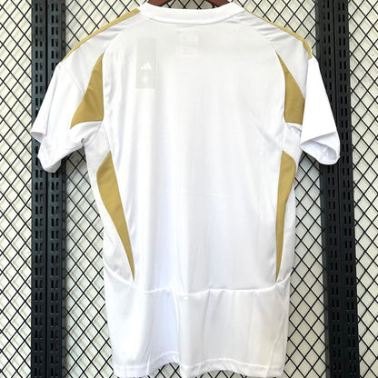 Jersey 2024/25 Al Nassr Tercero Manga corta Versión Fan