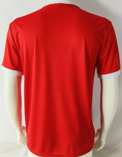 Jersey 1985/86 Atlético Independiente Local Manga corta Versión Fan Retro