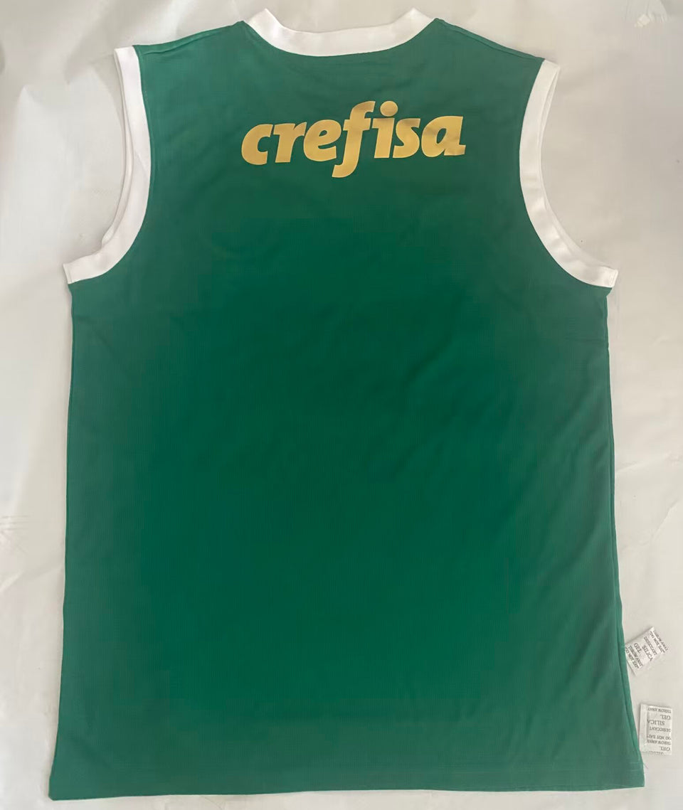 Jersey 2024/25 Palmeiras Local Manga corta Versión Fan