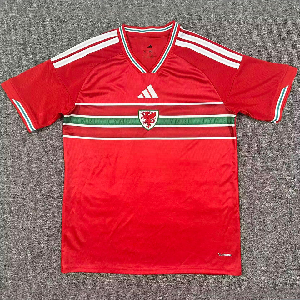 2026/27 wales local versión fan selecciones