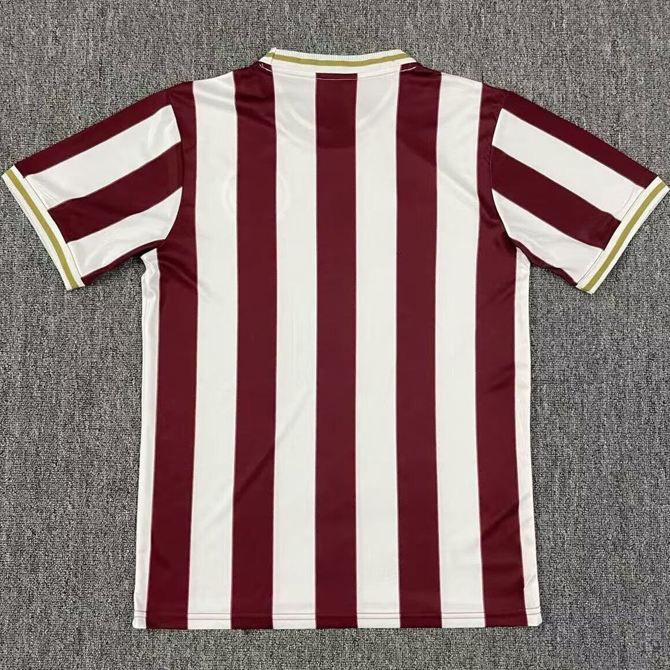 jersey 2025/26 1. fc nurnberg especial manga corta versión fan