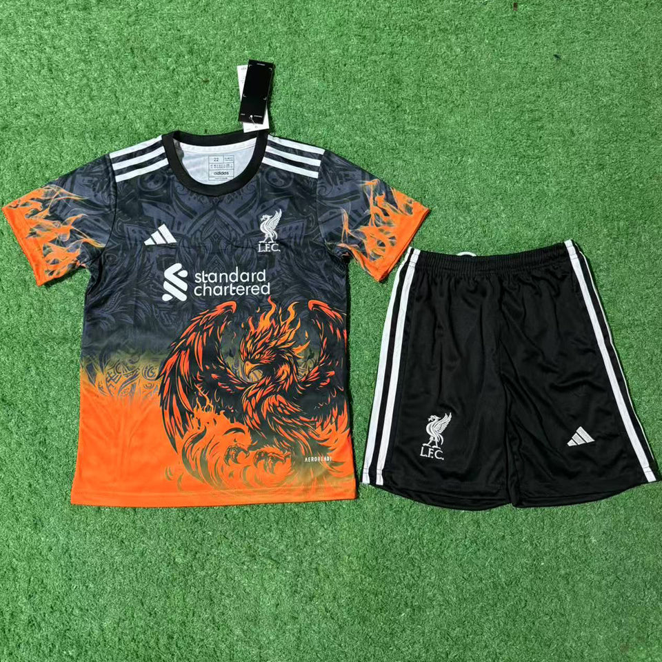 jersey 2025/26 liverpool especial manga corta niño