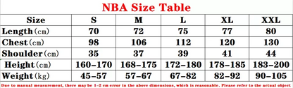 2025 Lakers NBA