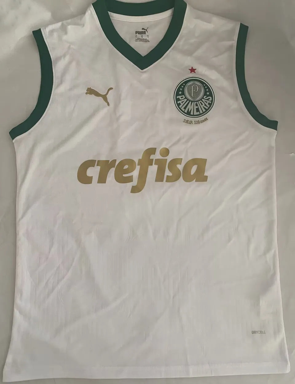 Jersey 2024/25 Palmeiras Visitante Manga corta Versión Fan