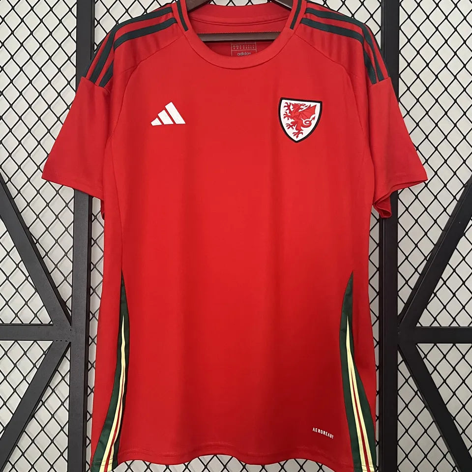 2024/25 Wales Local Versión Fan Selecciones