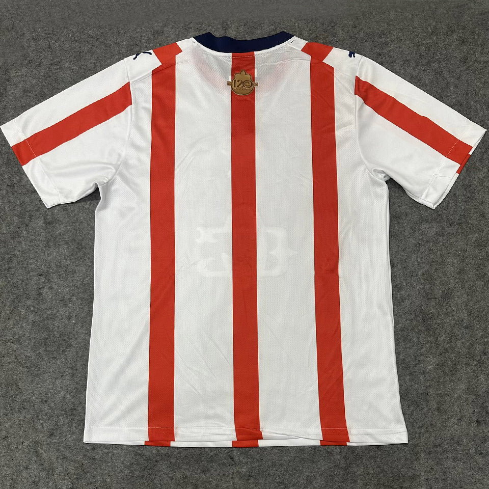 jersey 2026/27 chivas especial manga corta versión fan
