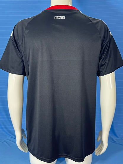 Jersey 2025/26 Strasbourg Tercero Manga corta Versión Fan