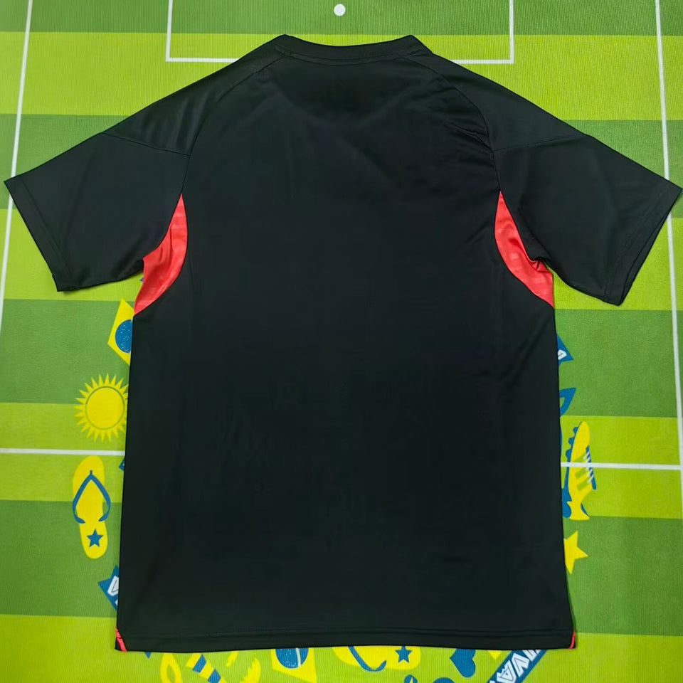 Jersey 2025/26 Benfica Especial Manga corta Versión Fan