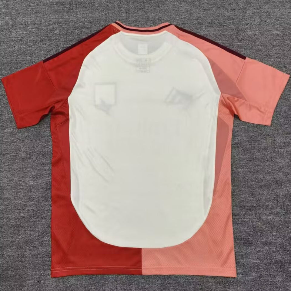 jersey 2024/25 lyon tercero manga corta versión fan