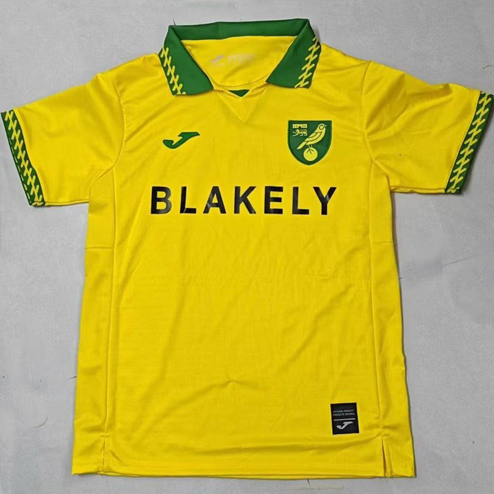 Jersey 2025/26 Norwich Local Manga corta Versión Fan