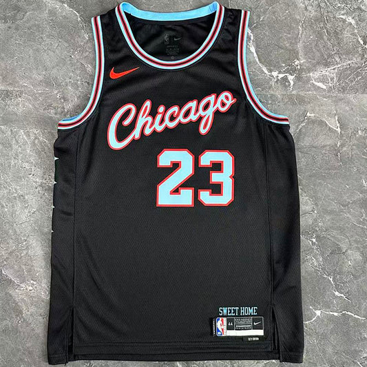 2026 Bulls NBA