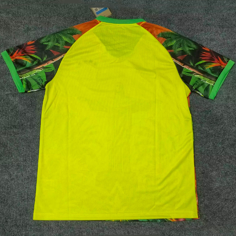 2025/26 Brasil Especial Versión Fan Selecciones