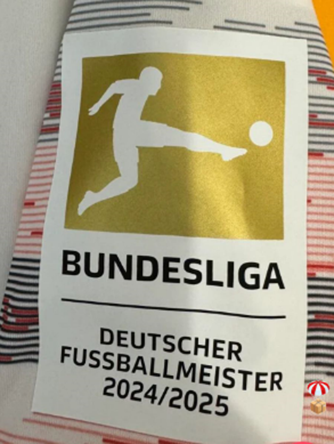 2024/25 2024 25 alemania bundesliga gold parches/letras