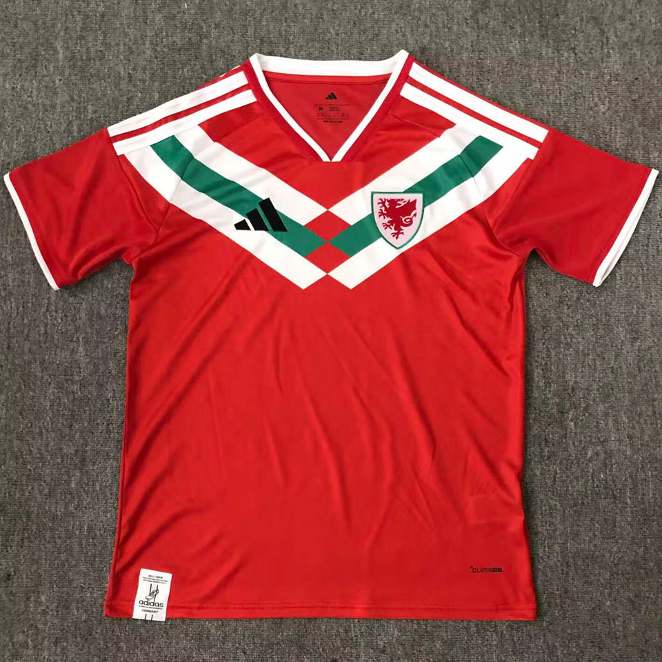 2026/27 wales especial versión fan selecciones