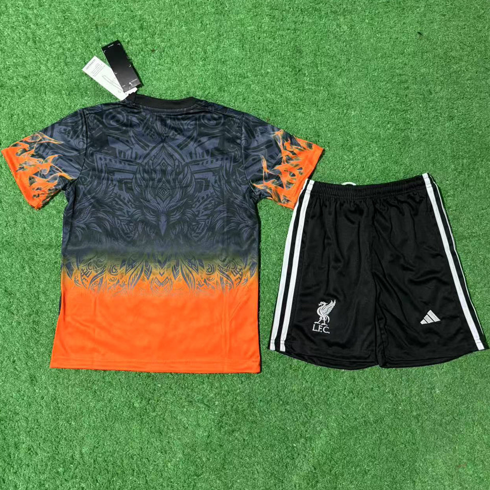 Jersey 2025/26 Liverpool Especial Manga corta Niño