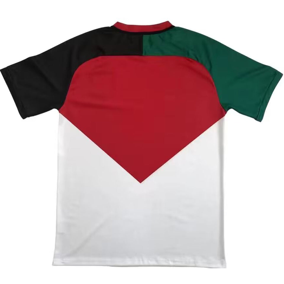 2024 palestine especial versión fan selecciones