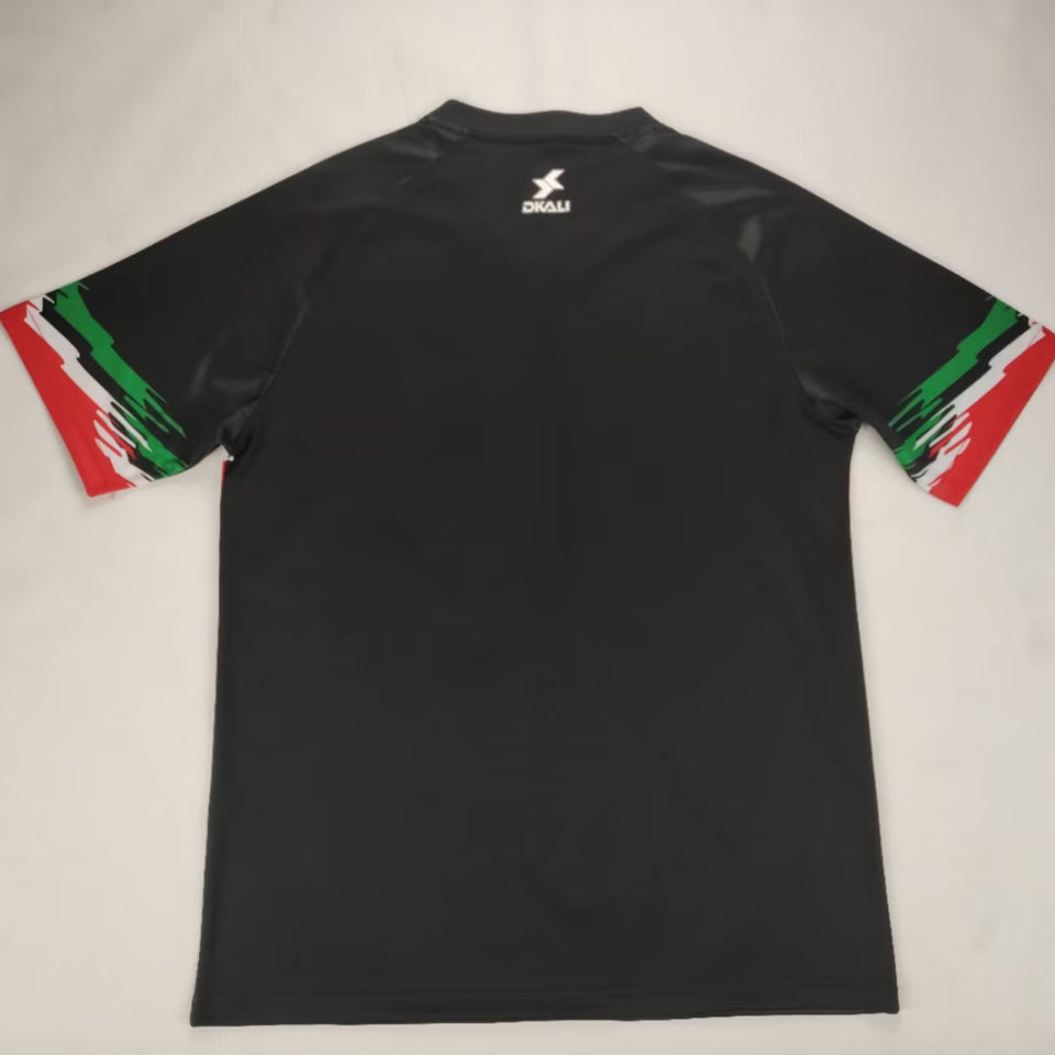 2024/25 palestine especial versión fan selecciones