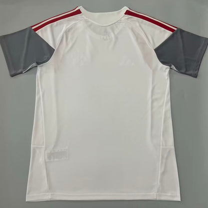 Jersey 2026/27 Internacional Especial Manga corta Versión Fan