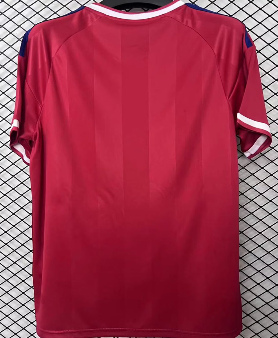 jersey 2026/27 lyon visitante manga corta versión fan