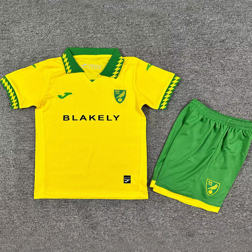 Jersey 2025/26 Norwich Local Manga corta Niño