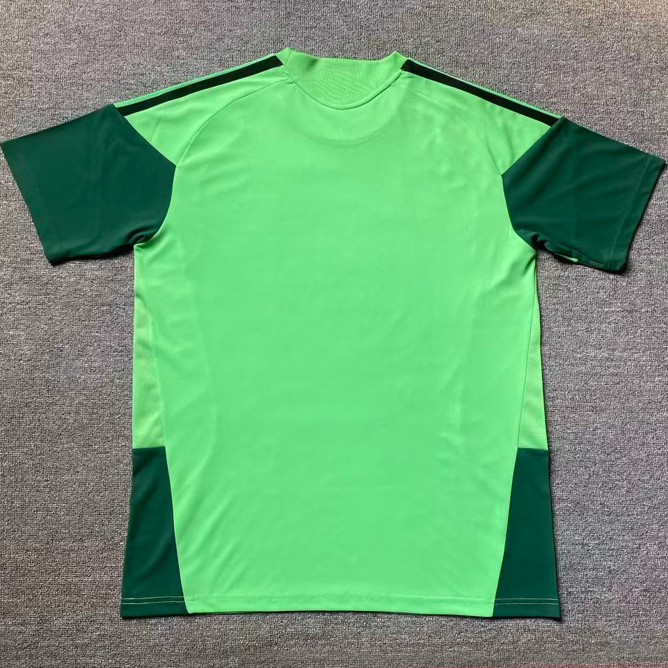 2026/27 mexico especial versión fan selecciones