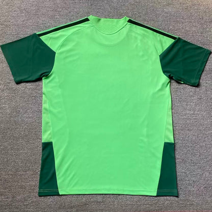 2026/27 Mexico Especial Versión Fan Selecciones