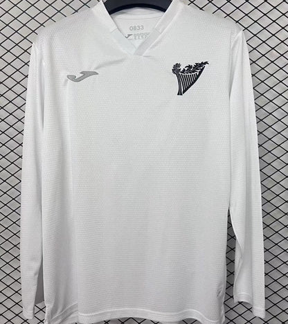 Jersey 2025/26 Hibernian Especial Manga larga Versión Fan