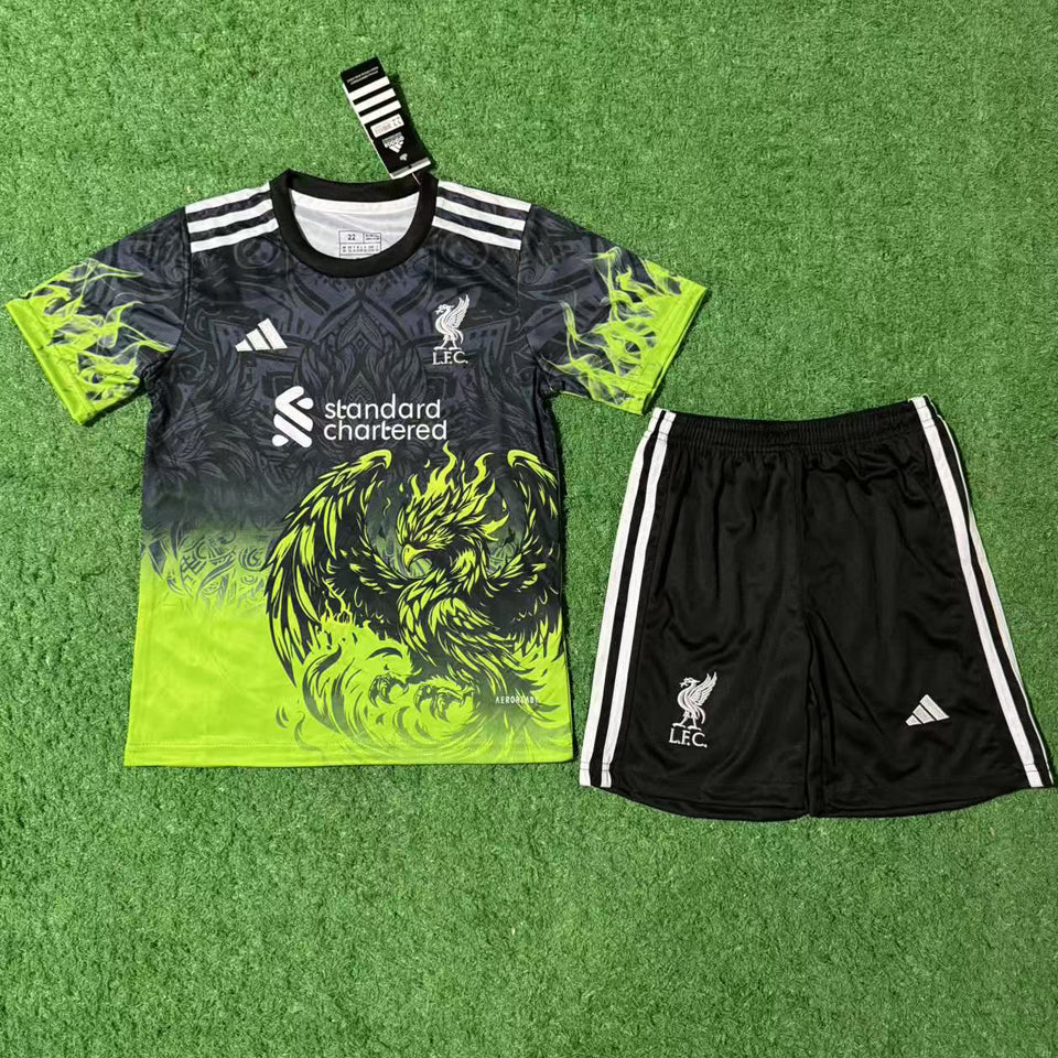 Jersey 2025/26 Liverpool Especial Manga corta Niño