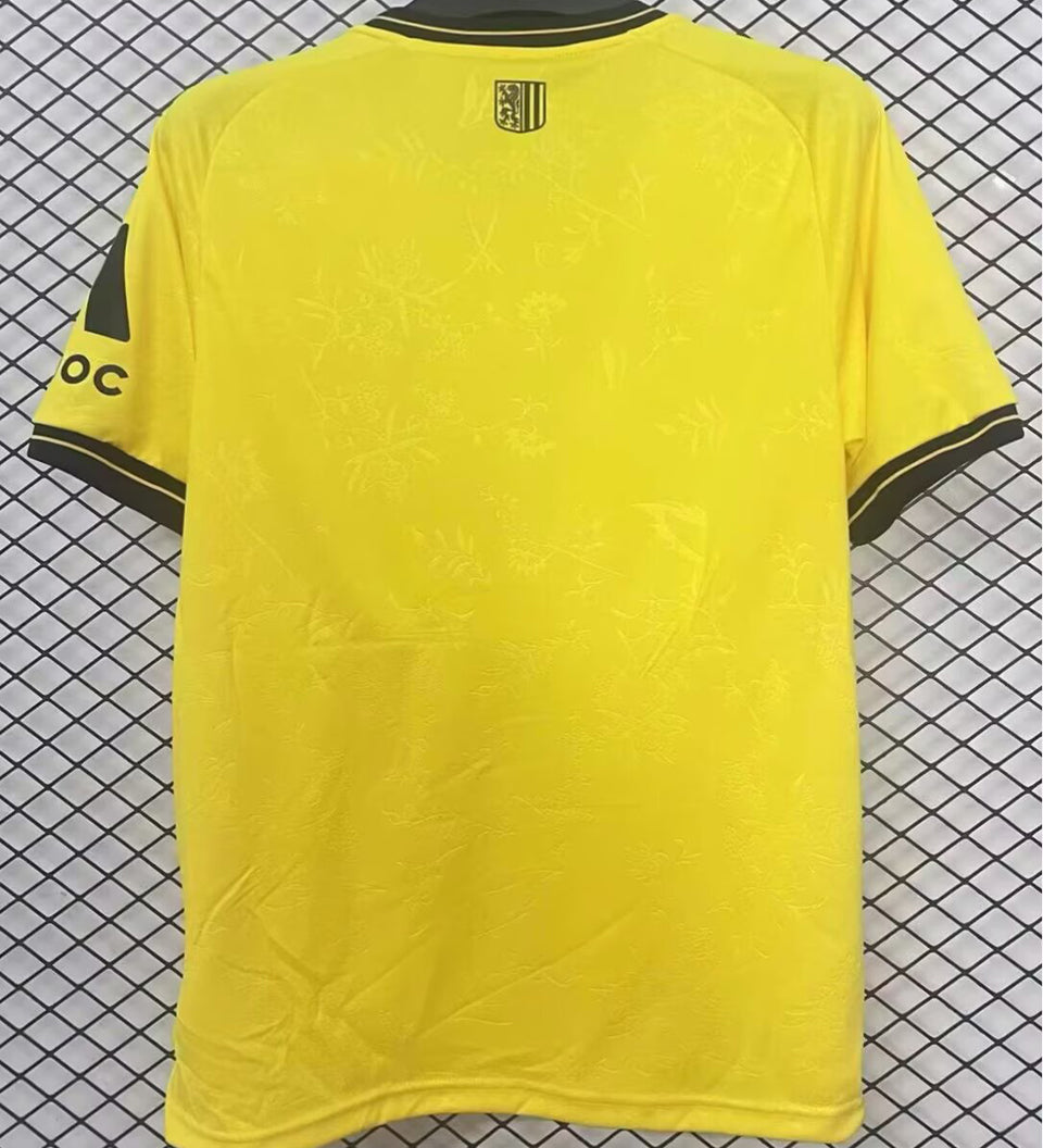 Jersey 2025/26 Dynamo Dresden Hoem Especial Manga corta Versión Fan