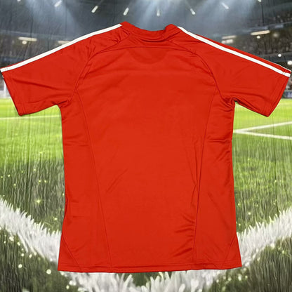 Jersey 2025/26 Bayern Munich Especial Manga corta Versión Fan