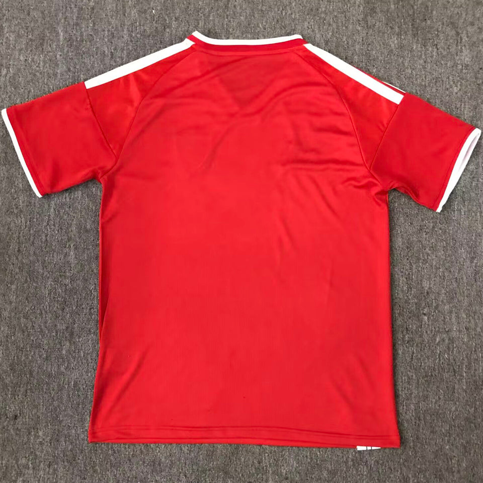 2026/27 wales especial versión fan selecciones