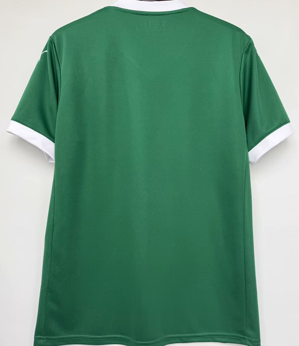 jersey 2025/26 palmeiras local manga corta versión fan