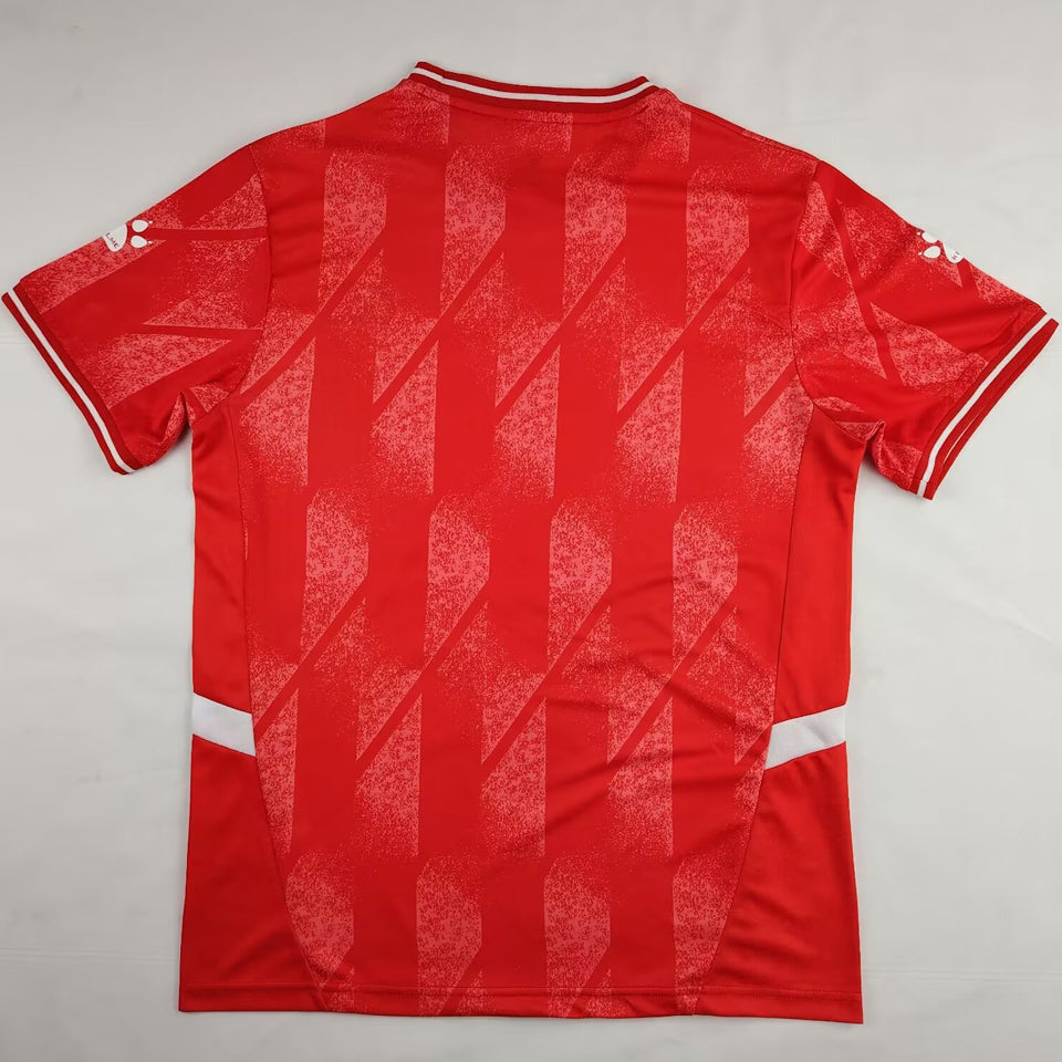 2024/25 palestine especial versión fan selecciones