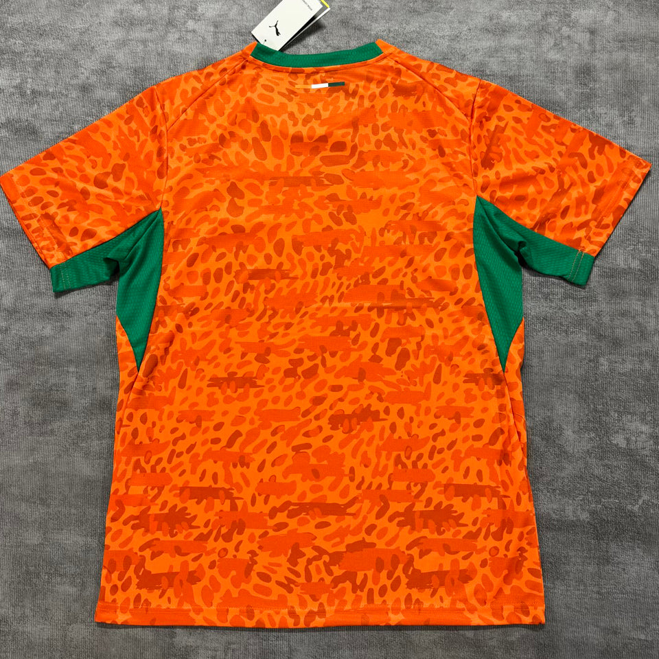 2026/27 ivory coast local versión fan selecciones