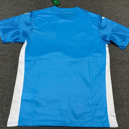 Jersey 2025/26 Palmeiras Portero Manga corta Versión Fan