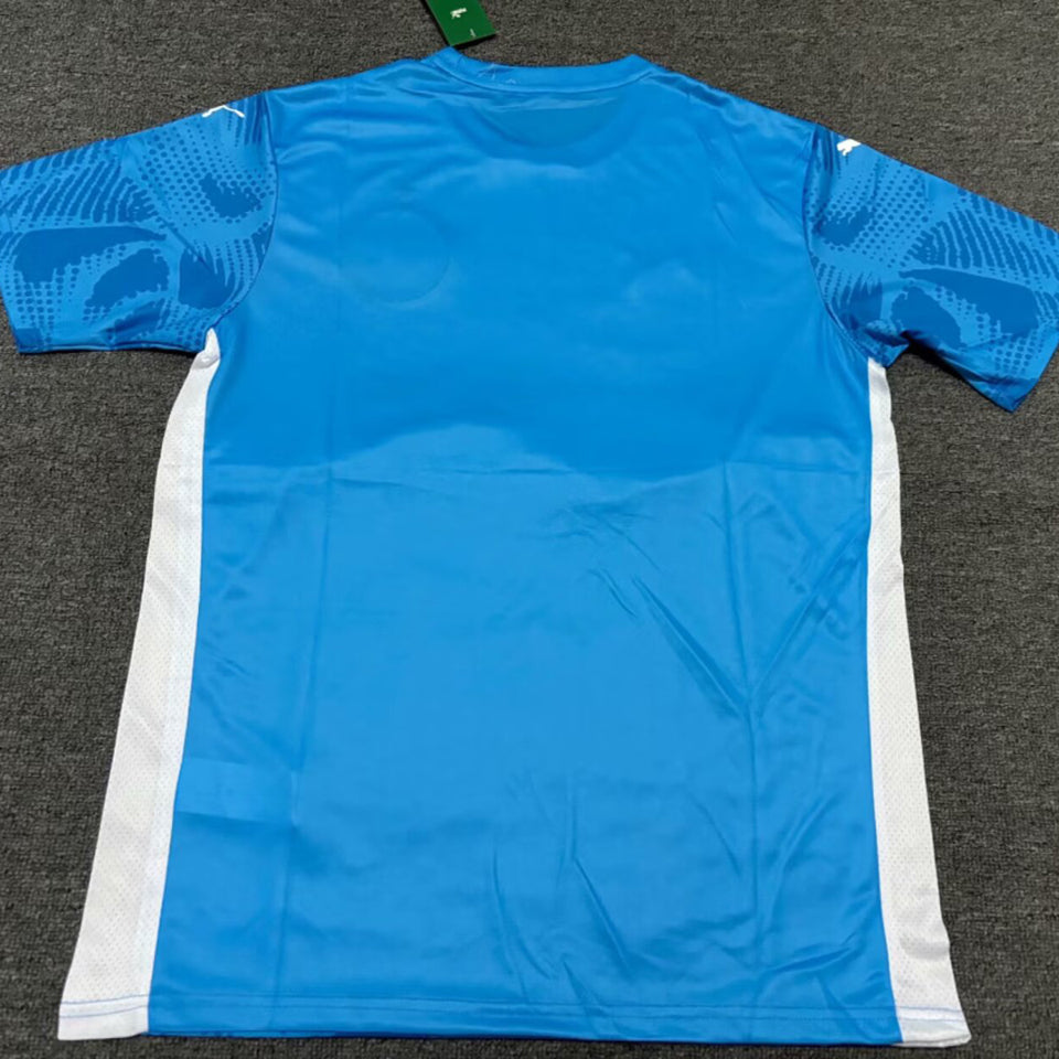 Jersey 2025/26 Palmeiras Portero Manga corta Versión Fan