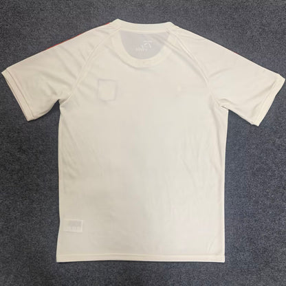 Jersey 2025/26 Lyon Especial Manga corta Versión Fan