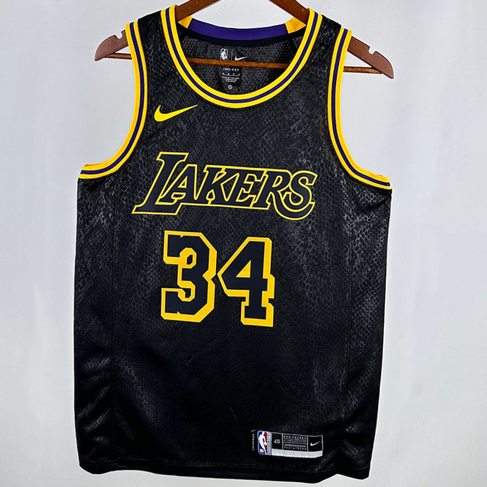 2024/25 lakers nba