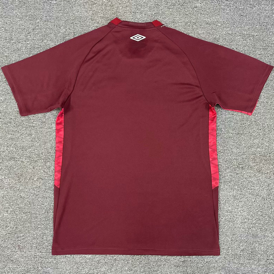 jersey 2025/26 lanús local manga corta versión fan