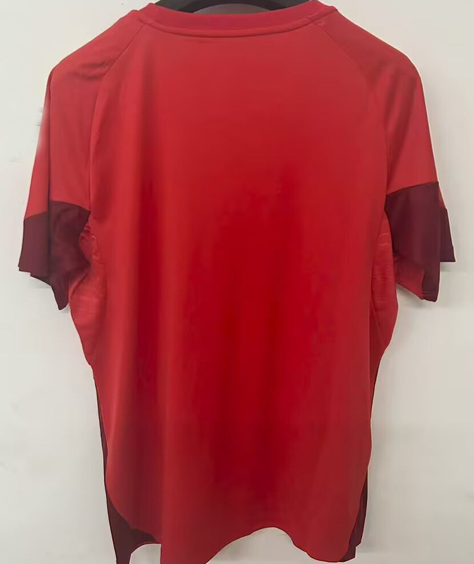 Jersey 2025/26 Nottingham Forest Especial Manga corta Versión Fan