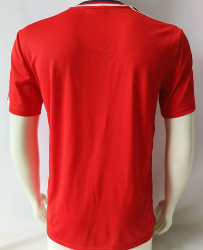 Jersey 1989/1990 Atlético Independiente Local Manga corta Versión Fan Retro