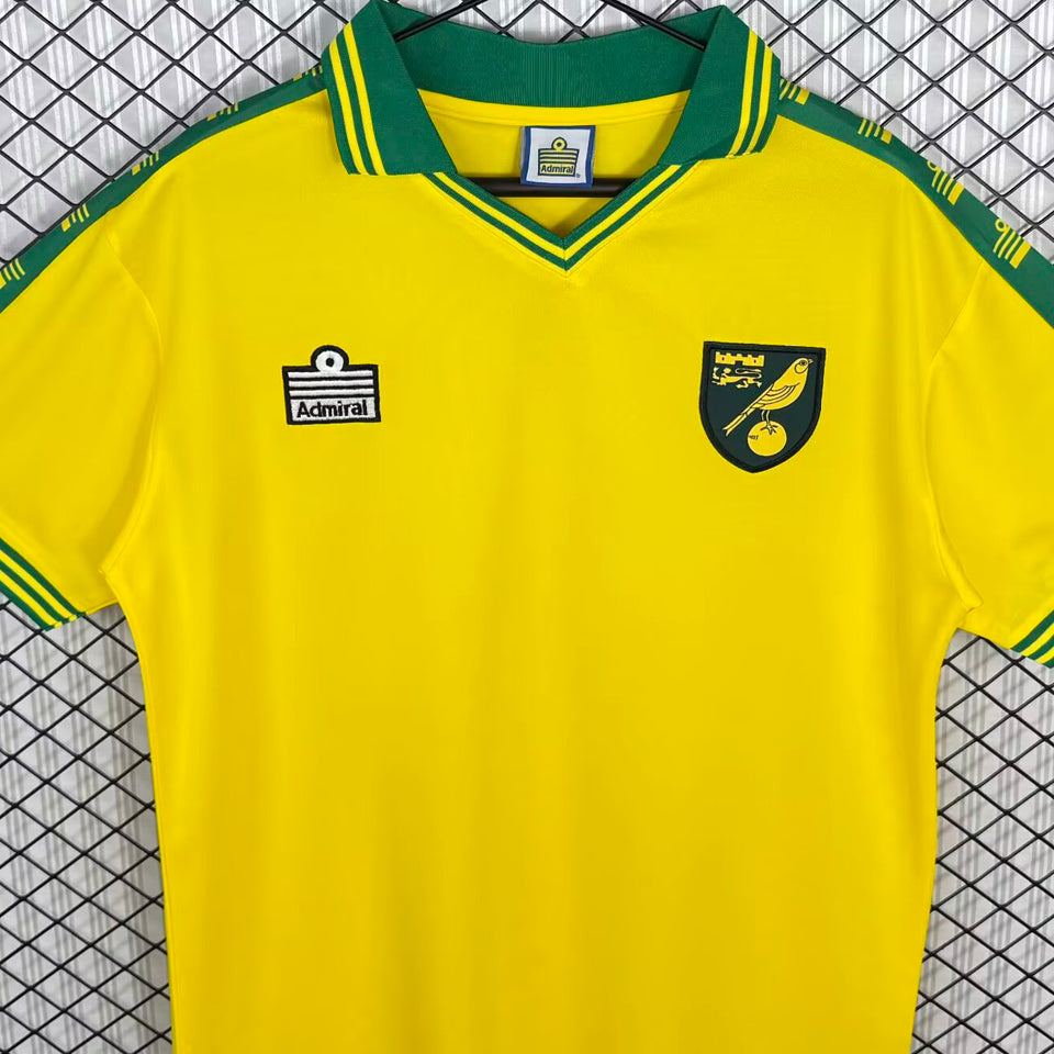jersey 1976/1981 norwich local manga corta versión fan retro