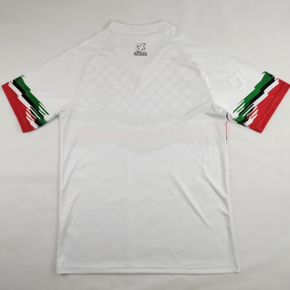 2024/25 palestine especial versión fan selecciones